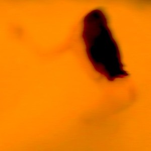 Pulsion (Sonic Remix)