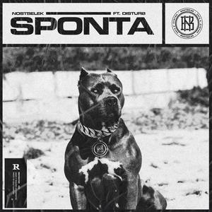 Sponta (feat. Disturb) (Explicit)