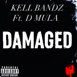 Damaged (Explicit)