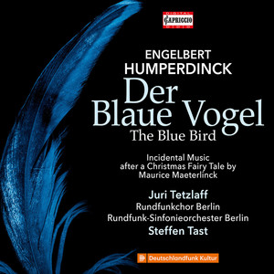 Sieben symphonische Bilder aus Der Blaue Vogel: No. 7, Die Heimkehr