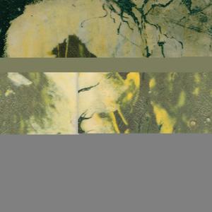 Quartet Session N˚1.1