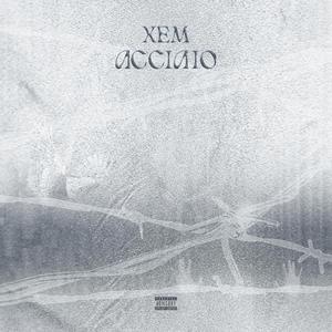 ACCIAIO (Explicit)