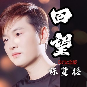 回望 (DJ沈念版伴奏)