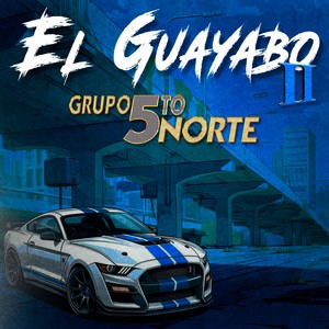 El Guayabo II