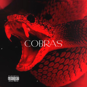 COBRAS (Explicit)