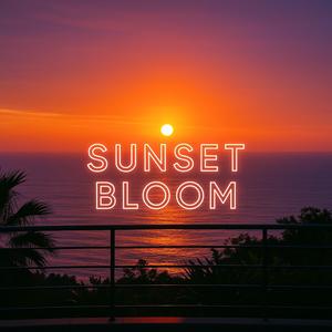 Sunset Bloom