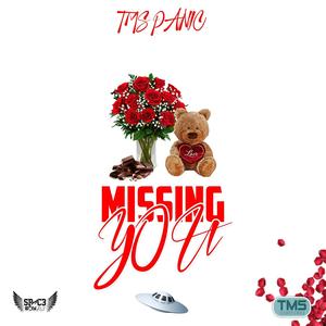 Missing You (feat. TMS Panic)