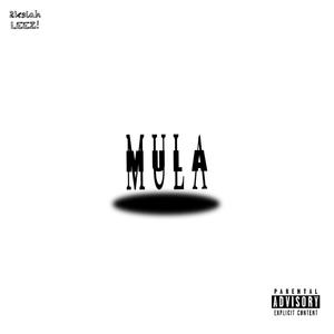 Mula (feat. LEEZ!) [Explicit]