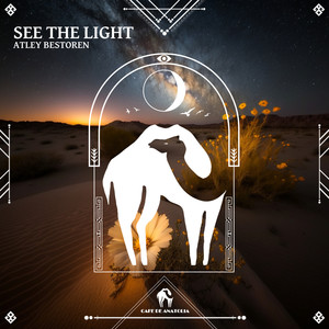 See the Light