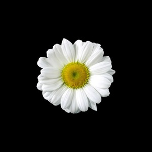 глаза на тебе