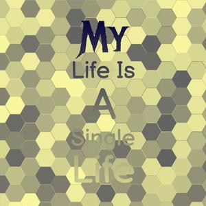 My Life Is A Single Life