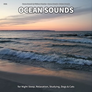 #001 Ocean Sounds for Night Sleep, Relaxation, Studying, Dogs & Cats