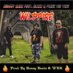 Wildfire (feat. Glamz & Frank The Tank) [Explicit]