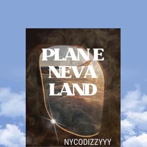 PLANE NEVA LAND