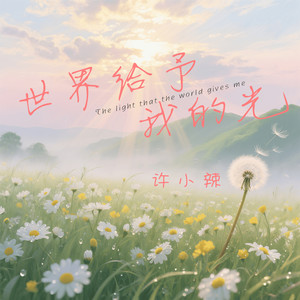 世界给予我的光