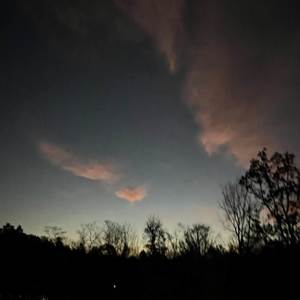 lucygray - under the bridge