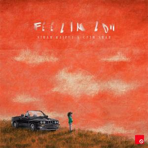 DND Club - Feelin Low (feat. Sinan Rajput & CptnShah)