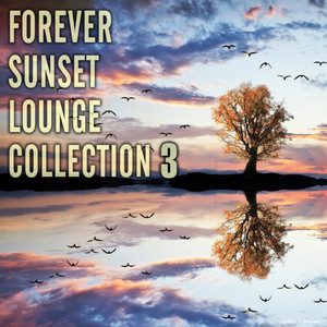 Forever Sunset Lounge Collection Vol 3