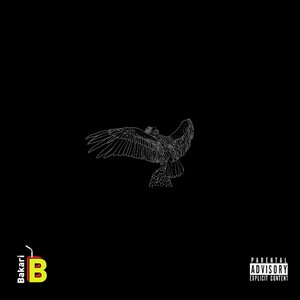 Culture's Vulture (feat. Jayla & Raven Denise) [Explicit]