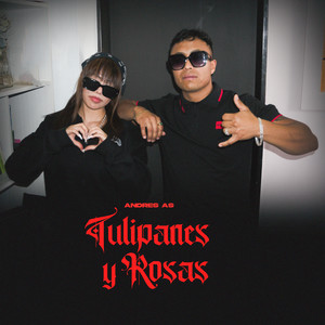 Tulipanes Y Rosas