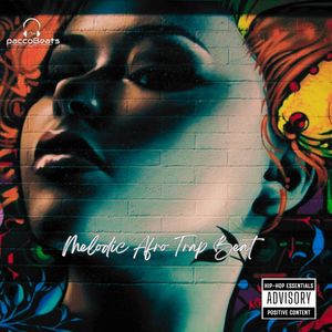 Melodic Afro Trap Beat