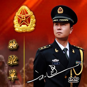 飞吧，亲爱的战鹰