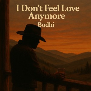 I Don’t Feel Love Anymore