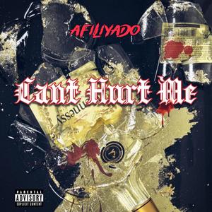 Can't Hurt Me (Explicit)