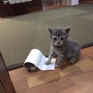 COISO 21 22 (feat. DJ Whatsapp) (Explicit)