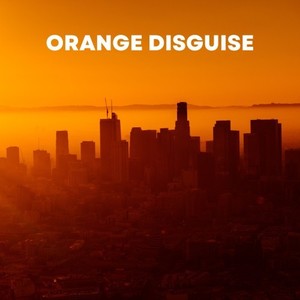 Orange Disguise