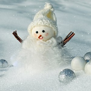 Jingle All the Way