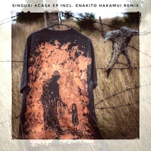 Singuri Acasa 2 (Extended|Explicit)