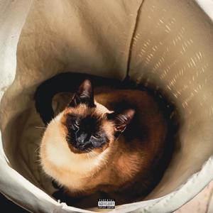 9 Lives (Explicit)