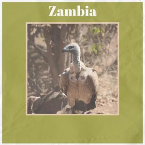 Zambia