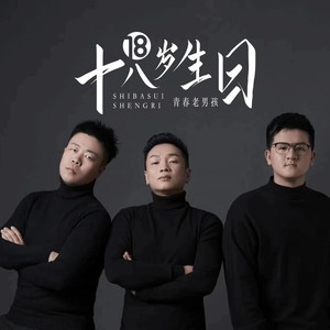 十八岁生日 (伴奏)