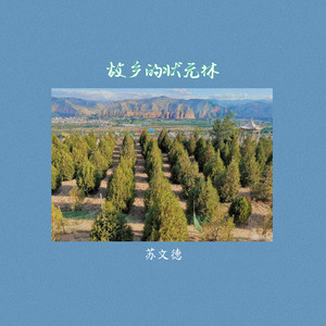 故乡的状元林-崔叶华 (广场舞版)