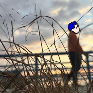 Shelter In Place (feat. Hakim Hopkins & AFLOE) (Explicit)