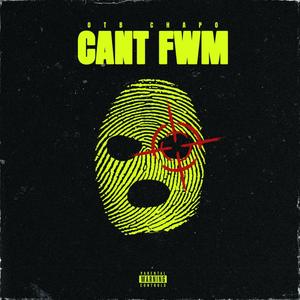 Cant FWM (Explicit)