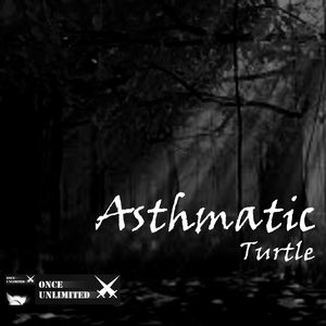 Asthmatic Turtle