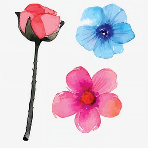 花蕊