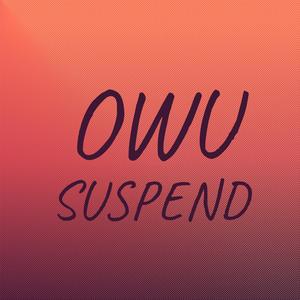 Owu Suspend