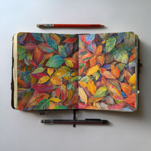 Autunno sotto il Quaderno