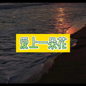 爱上一朵花