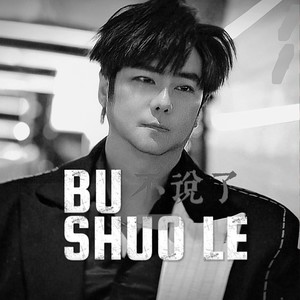 Bu Shuo Le 不说了