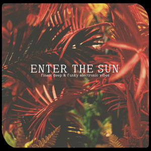 Enter the Sun