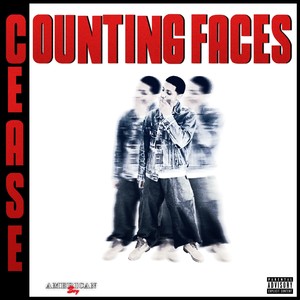 Counting Faces