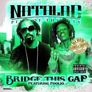 Bridge This Gap (feat. Foolio & DJ Red) [Slowed and Chopped] [Explicit]