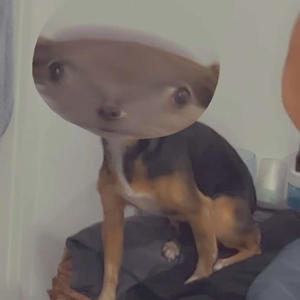 ***** save yo files (feat. Toxik)