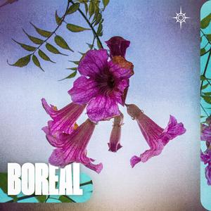 Boreal (Explicit)