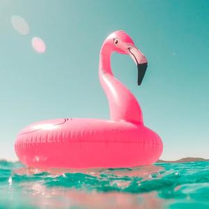陪你过夏天